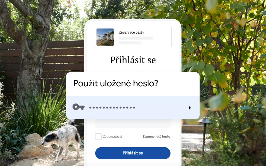 Přihlašovací stránka k rezervaci cesty žádá o použití uloženého hesla. V pozadí je přírodní scéna.