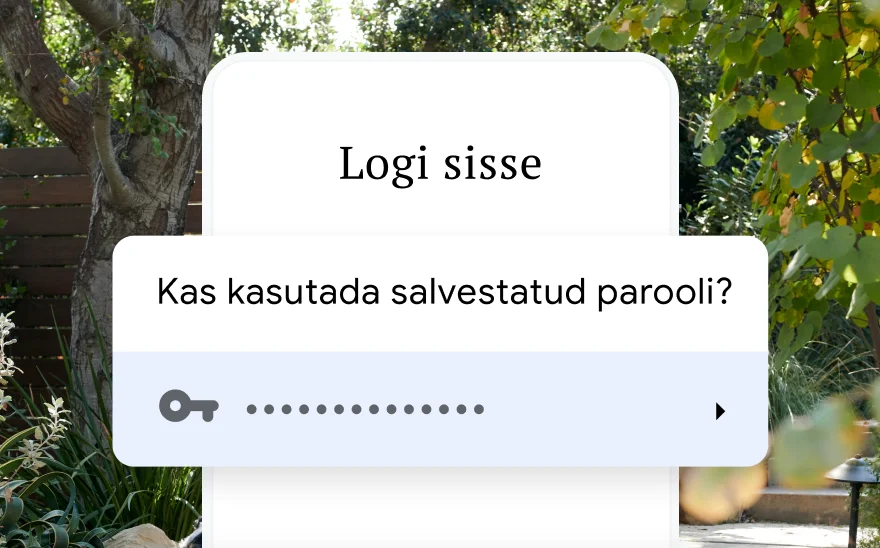 Reisibroneeringu sisselogimisleht, mis küsib luba kasutada salvestatud parooli. Taustal on kujutatud loodusstseeni.