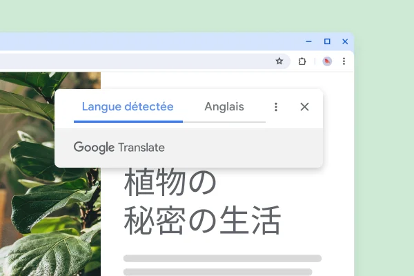 Un site Web avec des plantes et le texte traduit 'La vie secrète des plantes'.