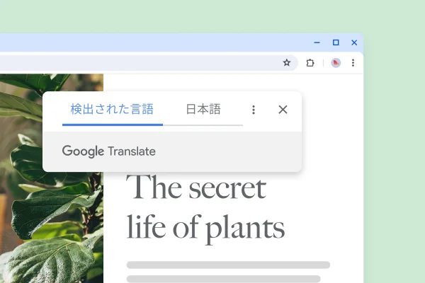 植物と「植物の神秘」と翻訳されたテキストが表示されたウェブサイト