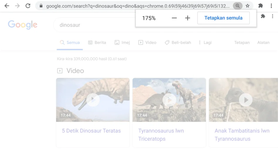 Tetingkap penyemak imbas Chrome membuka halaman web dengan fungsi Zum diaktifkan.