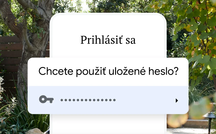 Prihlasovacia stránka na rezerváciu cesty žiada o použitie uloženého hesla. Na pozadí je prírodná scenéria.