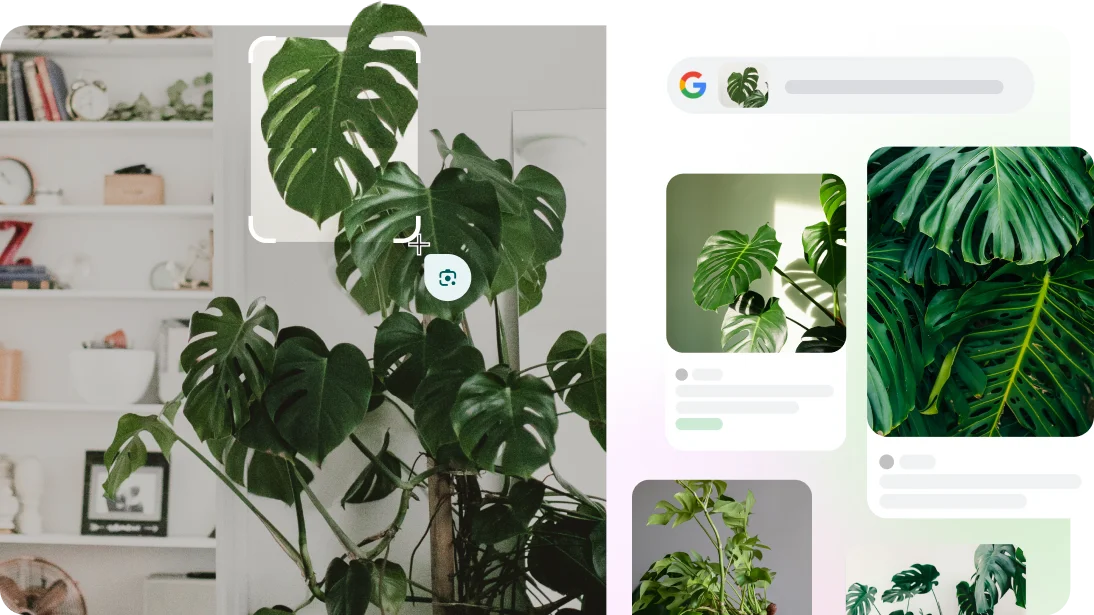 Google Ống kính được dùng để nhận dạng một chiếc vali trên một trang web, và một giống chó cùng một loài thực vật trong ứng dụng máy ảnh.