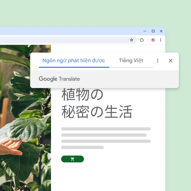 Một trang web có hình ảnh cây cối và bản dịch 'The secret life of plants' (Đời sống bí ẩn của thực vật)